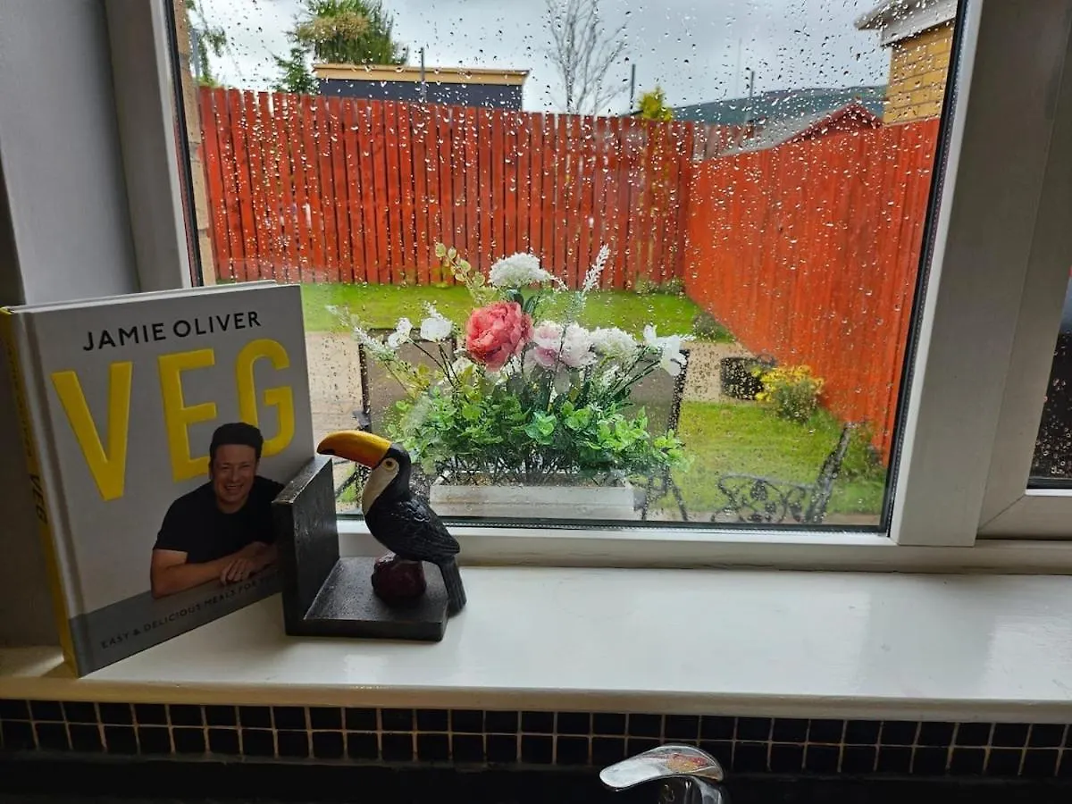 Cosy Authentic Home Belfast Regno Unito